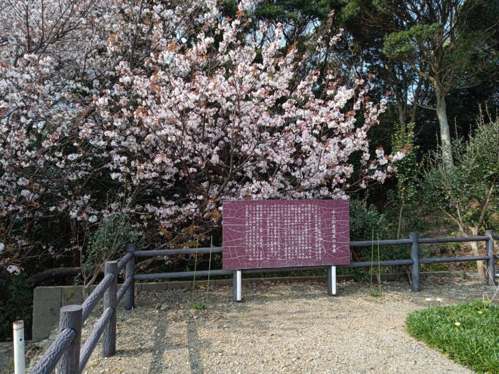 天草・十三仏公園の参拝スポットと春の桜の景色